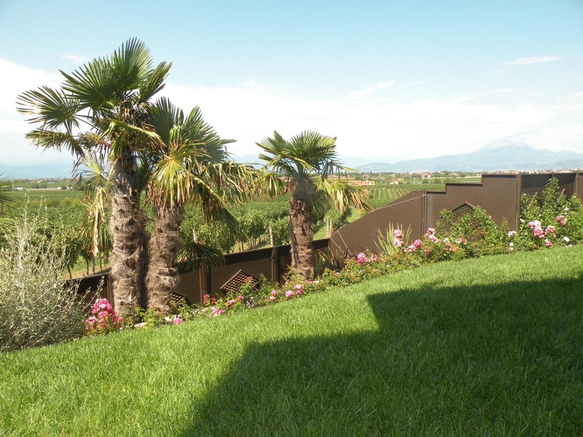 Sweet Life Bed and Breakfast Peschiera del Garda Exterior foto